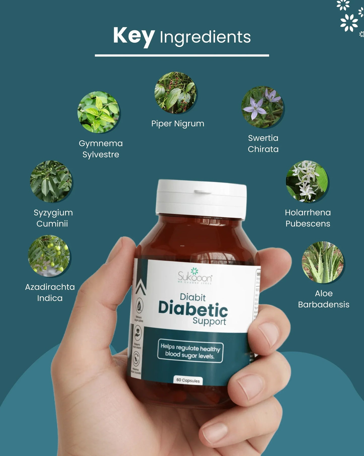 Diabit Capsules | Daily Wellness Support